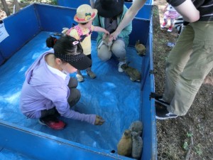 移動動物園26-1