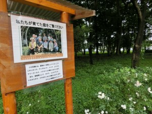 花苗掲示板