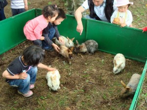 移動動物園