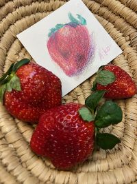 クリニカルアート