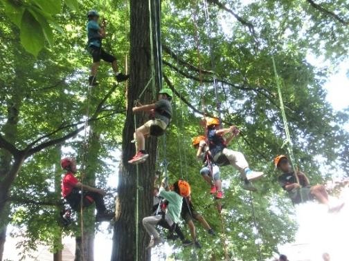ツリークライミング体験会