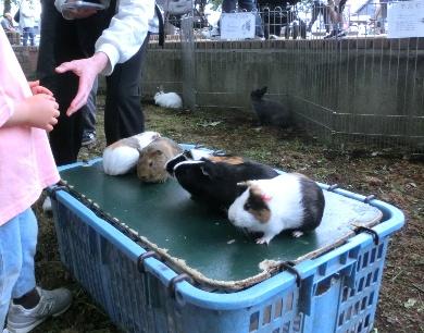 移動動物園「いちにち動物村」