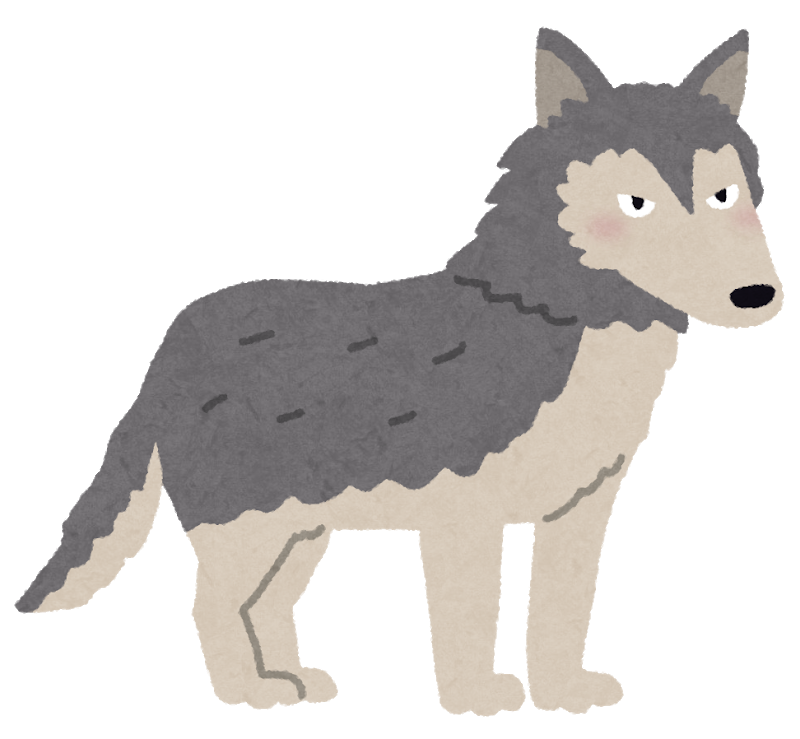 Animal Ookami グリムニュース Animal Ookami グリムニュース